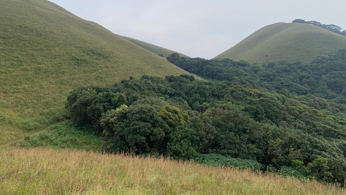 Forest Conservation Amendment Bill 2023